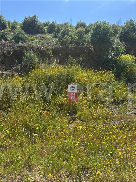 Terreno  Paredes, Paredes - 1483134 - 5