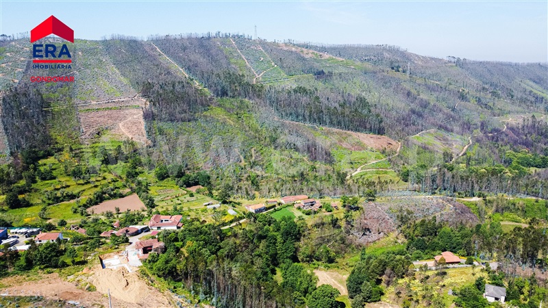 Terreno  Paredes, Paredes - 1483134 - 13