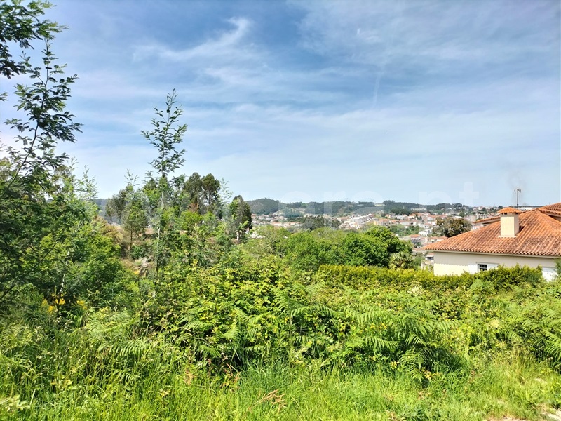 Terreno  Paredes, Rebordosa - 1321872 - 6