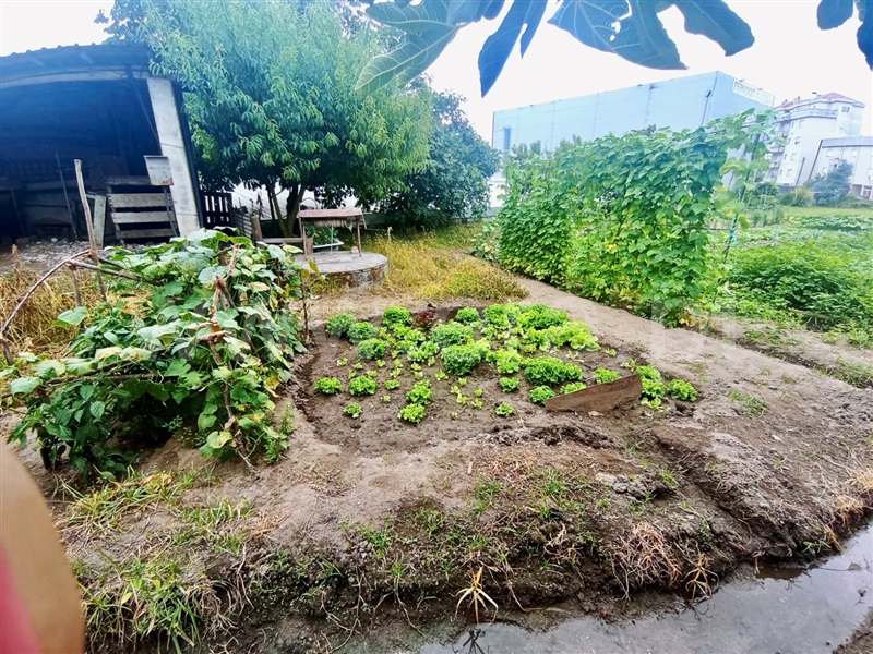 Terreno  Paredes, Rebordosa - 1342834 - 6