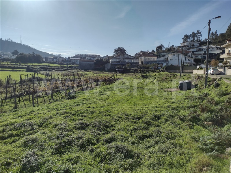 Terreno / Paredes, Rebordosa