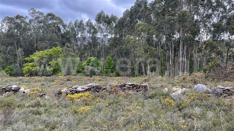 Terreno para Construção  Paredes, Recarei - 1236710 - 4