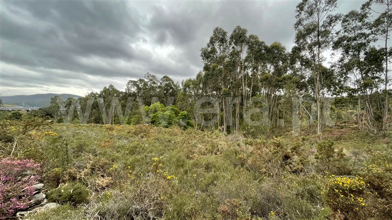 Terreno para Construção  Paredes, Recarei - 1236710 - 4