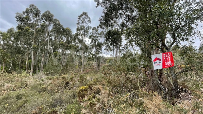 Terreno para Construção  Paredes, Recarei - 1236710 - 6
