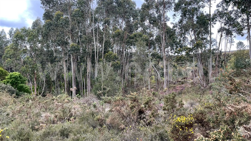 Terreno para Construção  Paredes, Recarei - 1236710 - 7