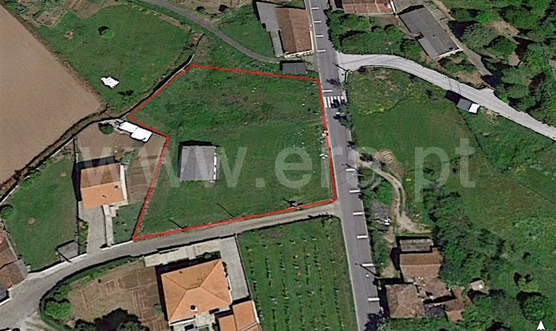 Terreno / Paredes, Sobreira