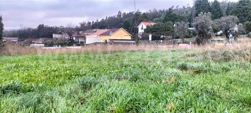 Terreno  Paredes, Sobreira - 1141604 - 4
