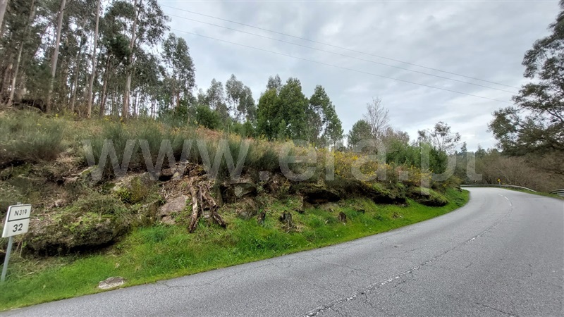 Terreno / Paredes, Sobreira