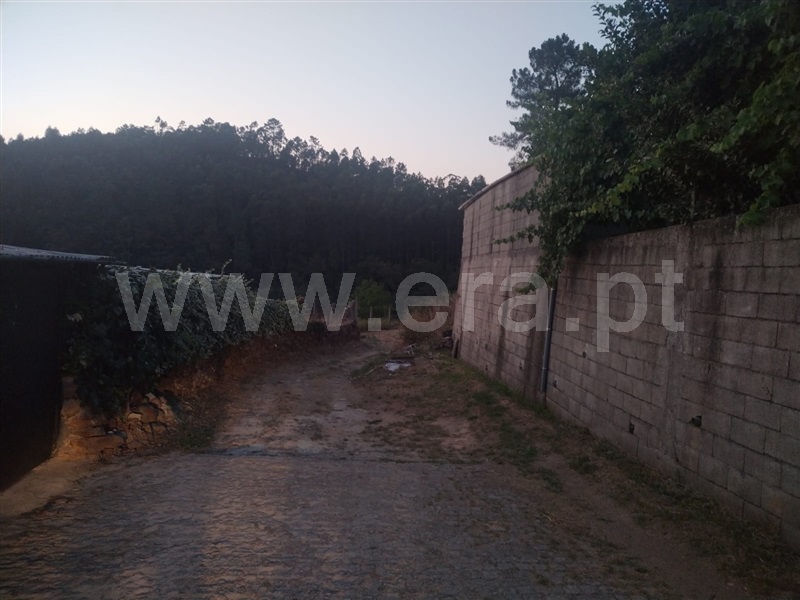 Terreno  Paredes, Sobreira - 1497741 - 5