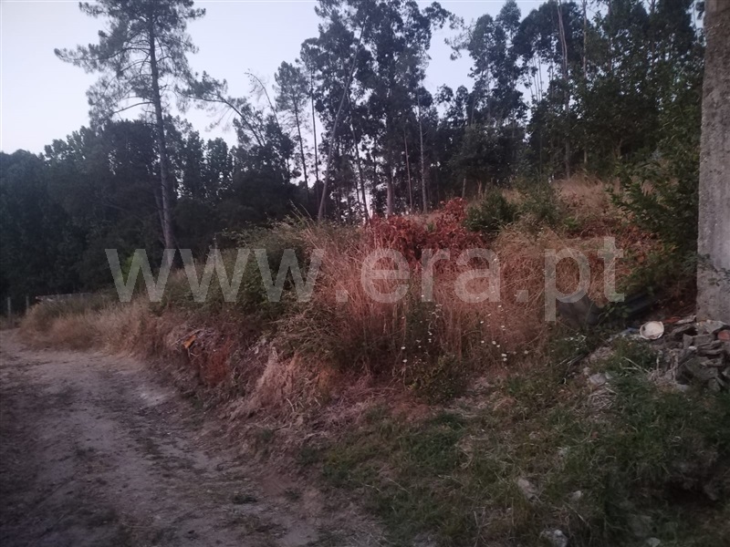 Terreno  Paredes, Sobreira - 1497741 - 7