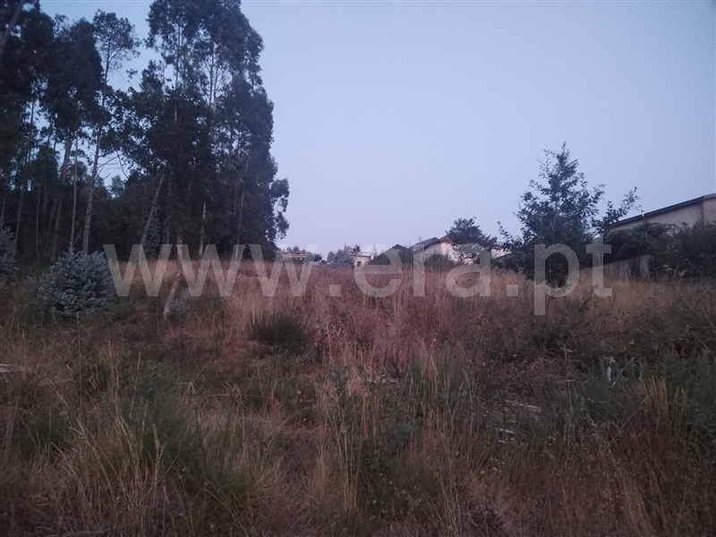 Terreno  Paredes, Sobreira - 1497741 - 8
