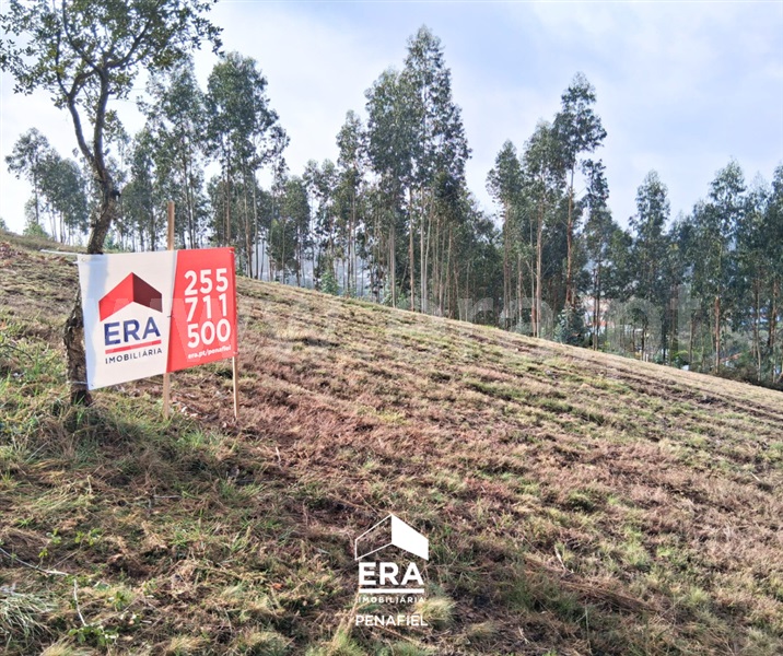 Terreno / Paredes, Sobreira