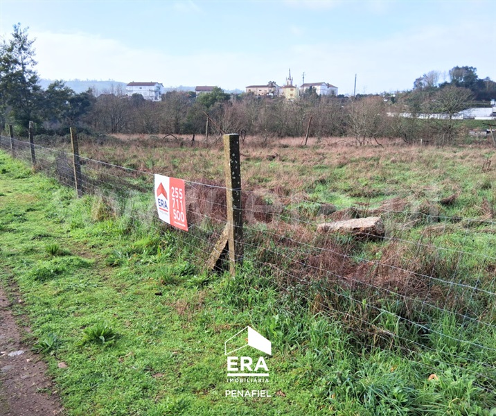 Terreno / Paredes, Sobreira