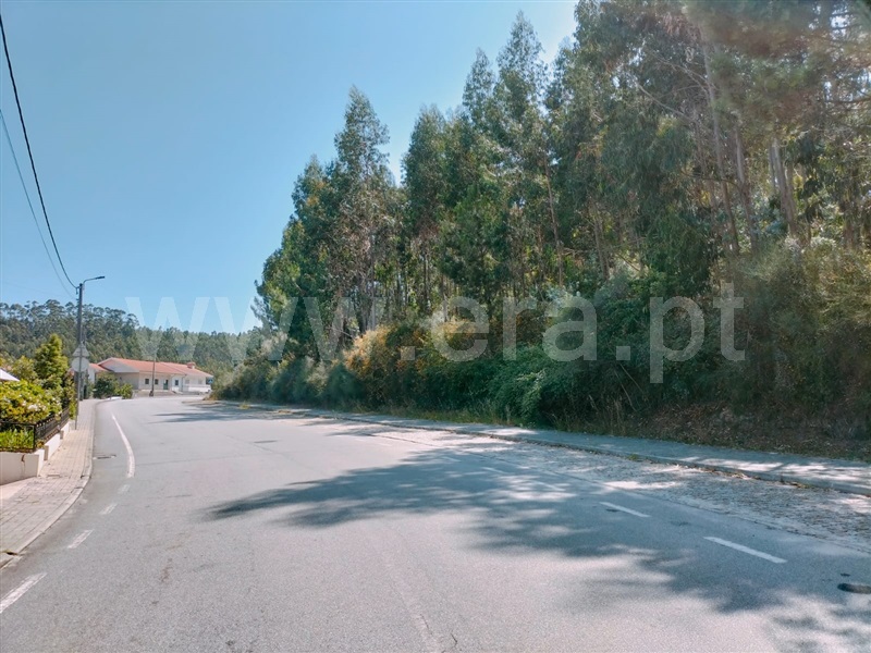 Terreno  Paredes, Vandoma - 1340401 - 2