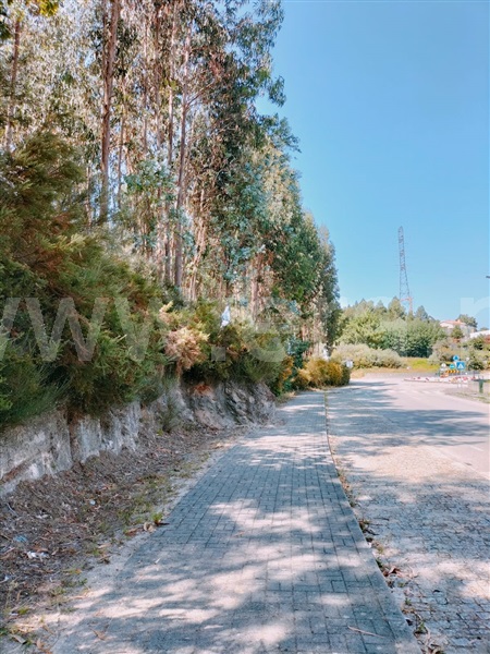 Terreno  Paredes, Vandoma - 1340401 - 3