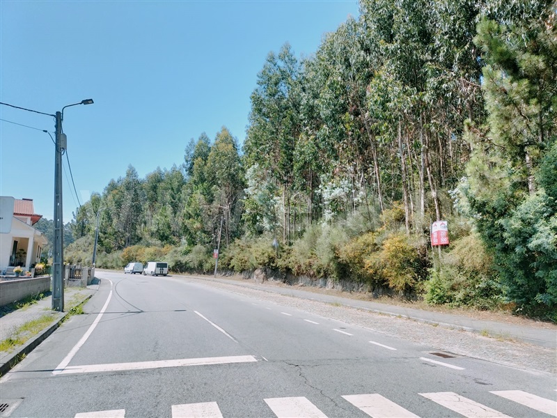 Terreno / Paredes, Vandoma