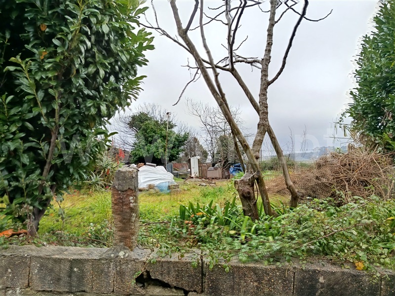 Terreno / Paredes, Vilela