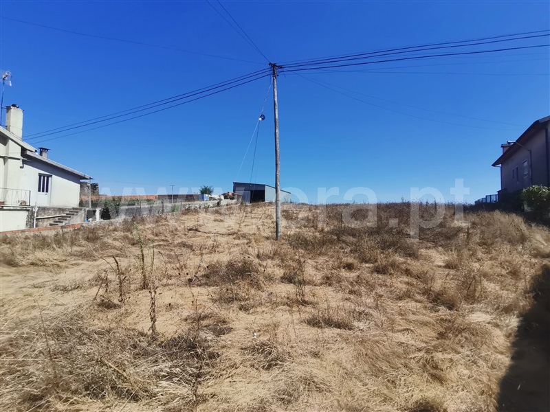 Terreno  Penacova, Lorvão - 1269955 - 2