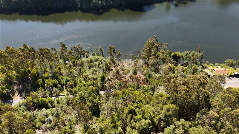 Terreno  Penafiel, Abragão - 1374960 - 8