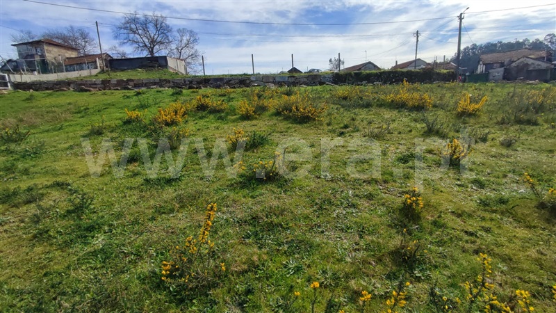 Terreno / Penafiel, Bustelo