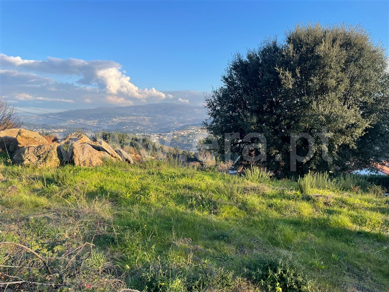 Terreno / Penafiel, Canelas