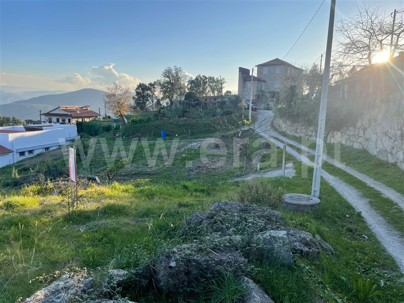 Terreno / Penafiel, Canelas