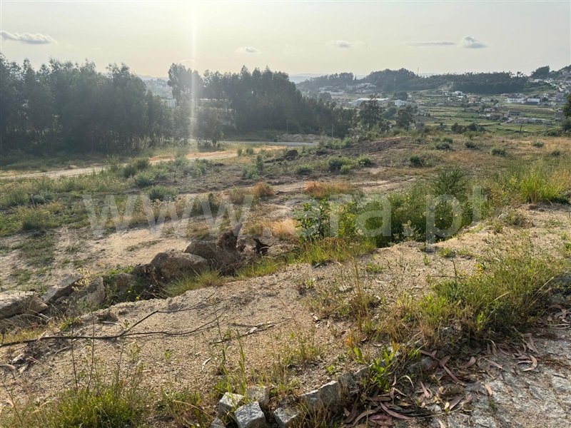 Terreno  Penafiel, Croca - 1486359 - 8