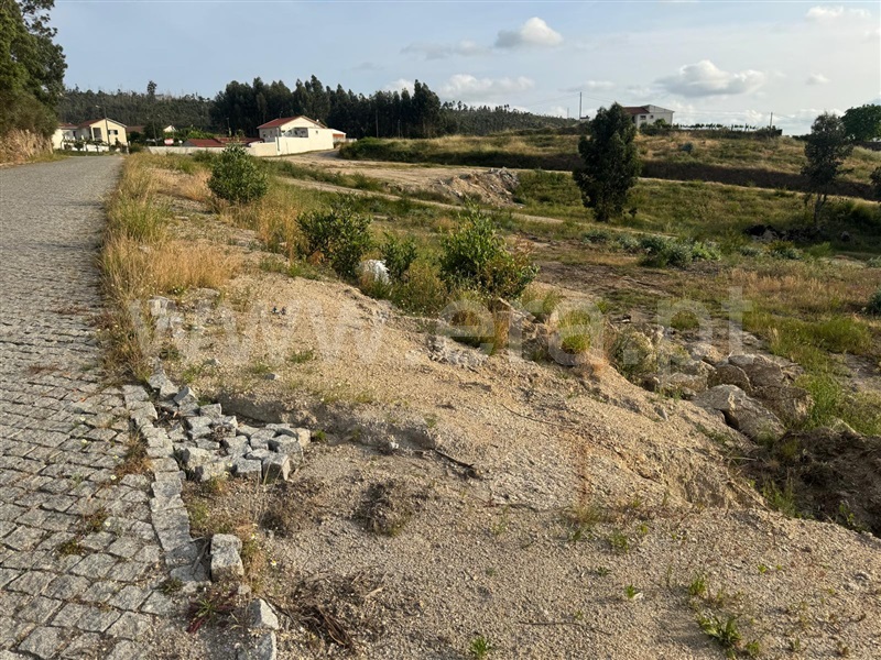 Terreno  Penafiel, Croca - 1486359 - 9