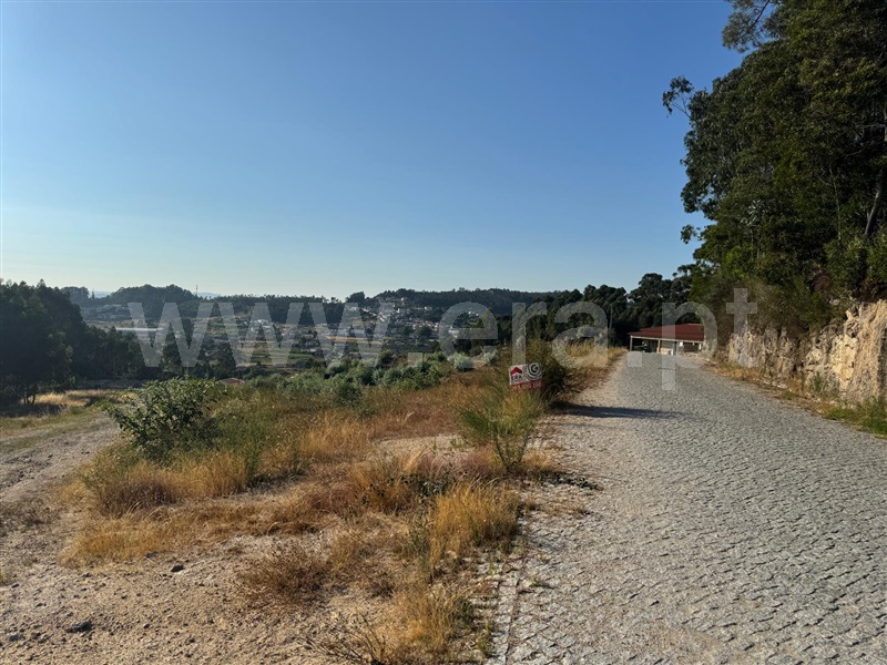 Terreno  com Rústico Penafiel, Croca - 1486359 - 15