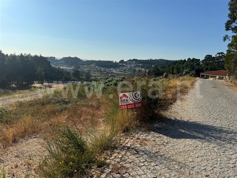 Terreno  com Rústico Penafiel, Croca - 1486359 - 16