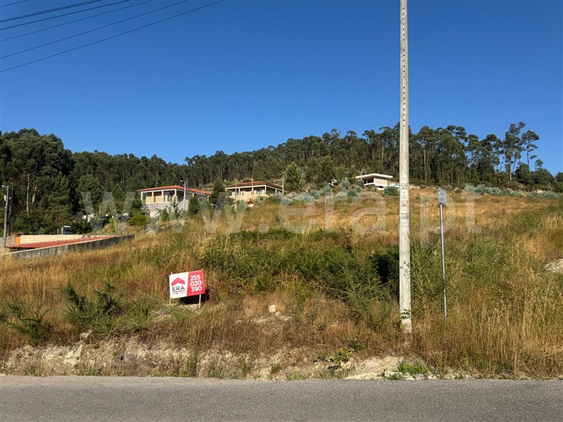 Terreno  com Rústico Penafiel, Croca - 1486359 - 17