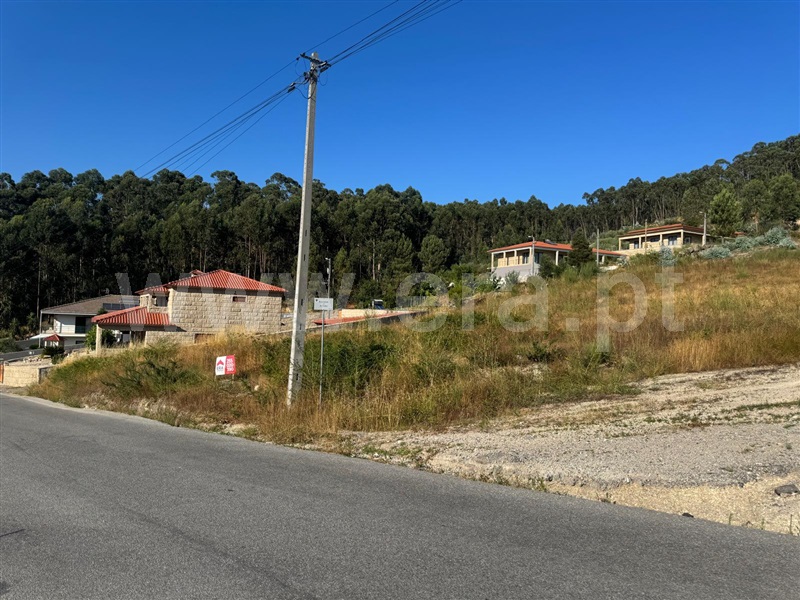 Terreno  com Rústico Penafiel, Croca - 1486359 - 18