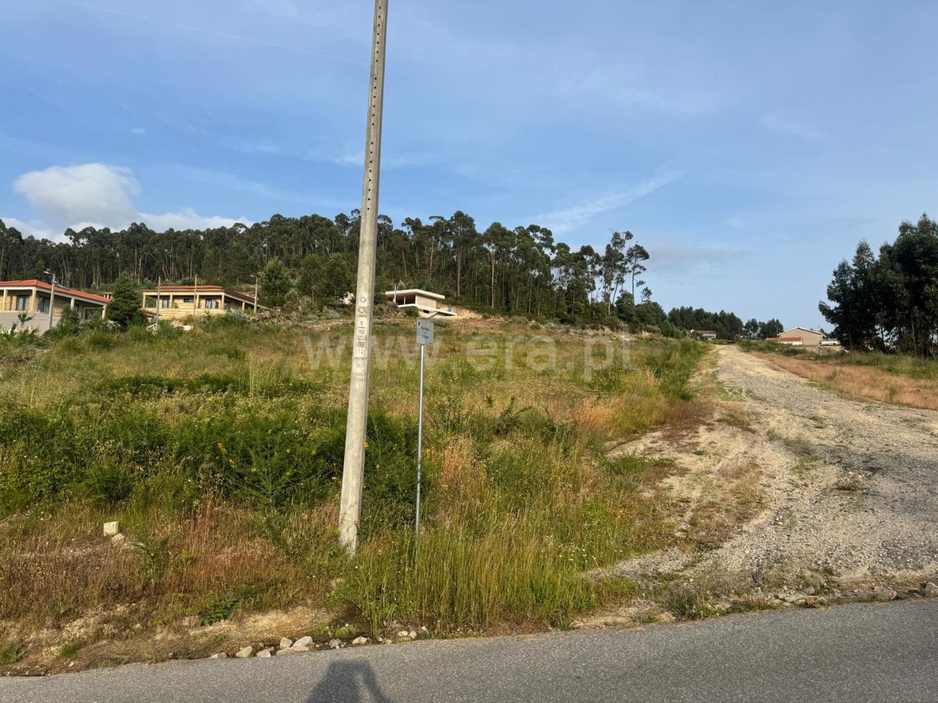 Land for sale in Penafiel, Portugal — €380,000