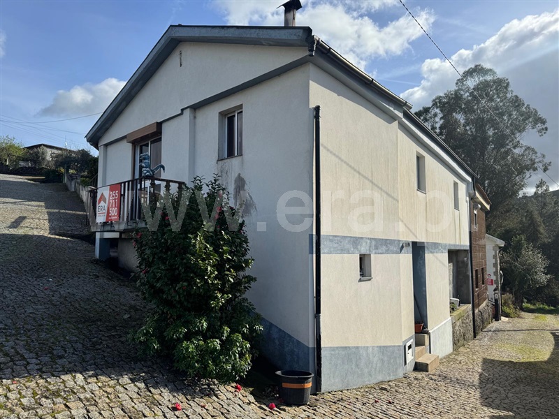 Terreno / Penafiel, Lagares e Figueira