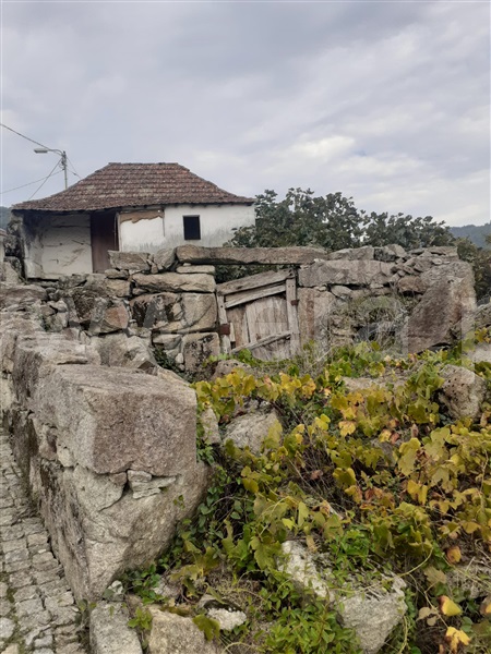 Terreno  Penafiel, Luzim e Vila Cova - 1442096 - 1