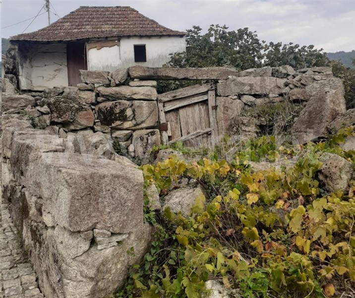 Terreno  Penafiel, Luzim e Vila Cova - 1442096 - 10
