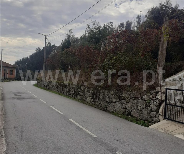 Terreno  Penafiel, Luzim e Vila Cova - 1442096 - 11