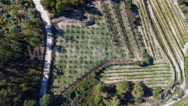 Terreno / Penafiel, Recezinhos (São Martinho)