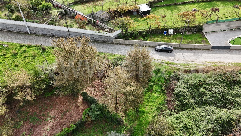 Terreno  Penafiel, Rio de Moinhos - 1396157 - 4