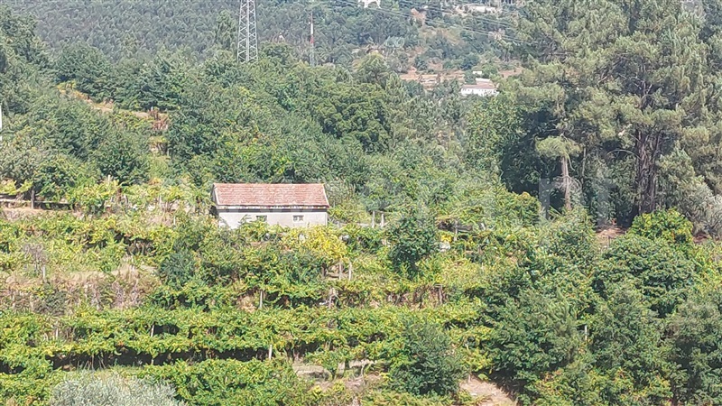 Terreno / Penafiel, Rio de Moinhos