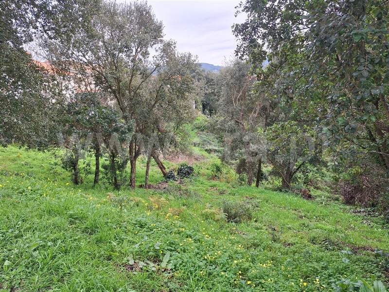 Terreno  Penafiel, Rio Mau - 1455830 - 3