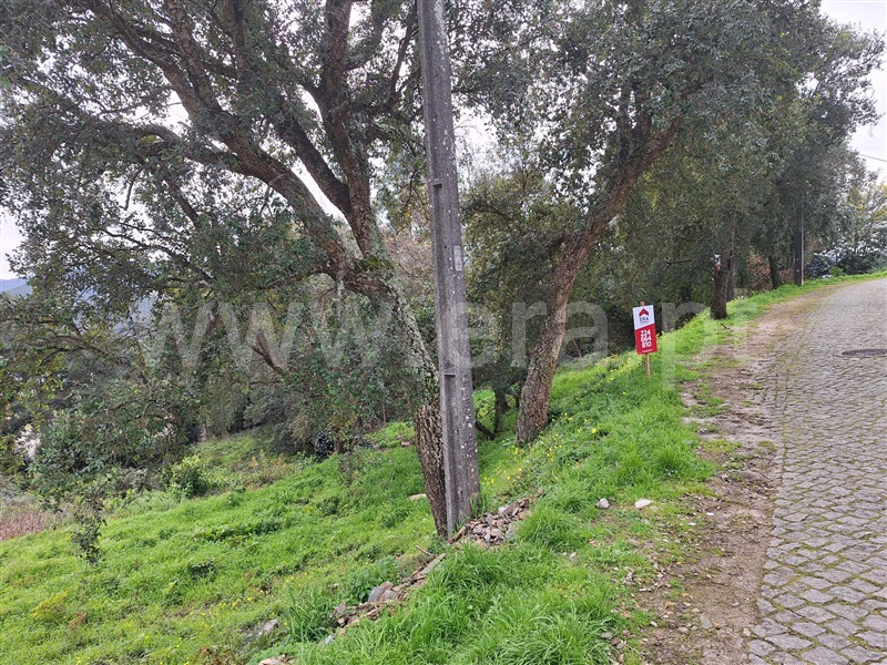 Terreno  Penafiel, Rio Mau - 1455830 - 5