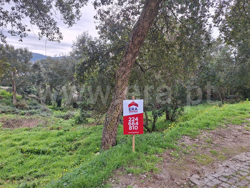 Terreno  Penafiel, Rio Mau - 1455830 - 6
