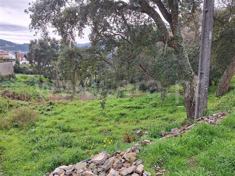 Terreno  Penafiel, Rio Mau - 1455830 - 7
