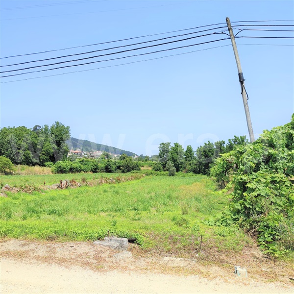 Terreno  Penafiel, Termas de São Vicente - 1339422 - 3