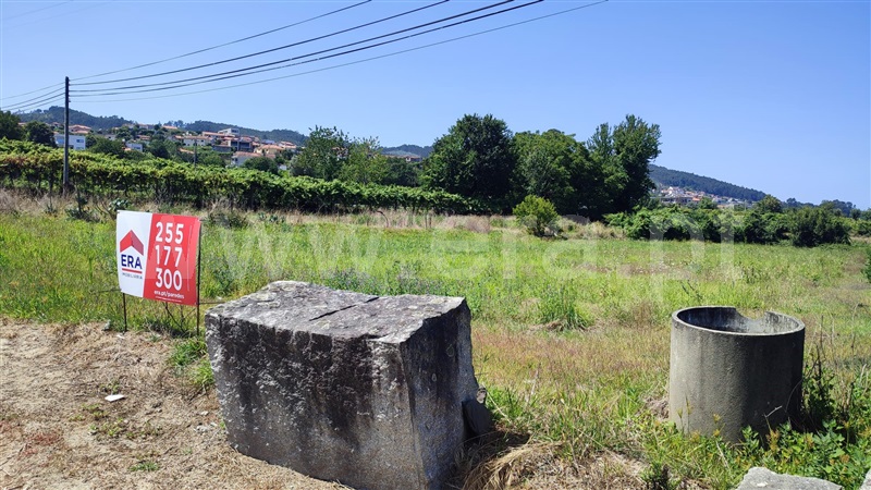 Terreno / Penafiel, Termas de São Vicente
