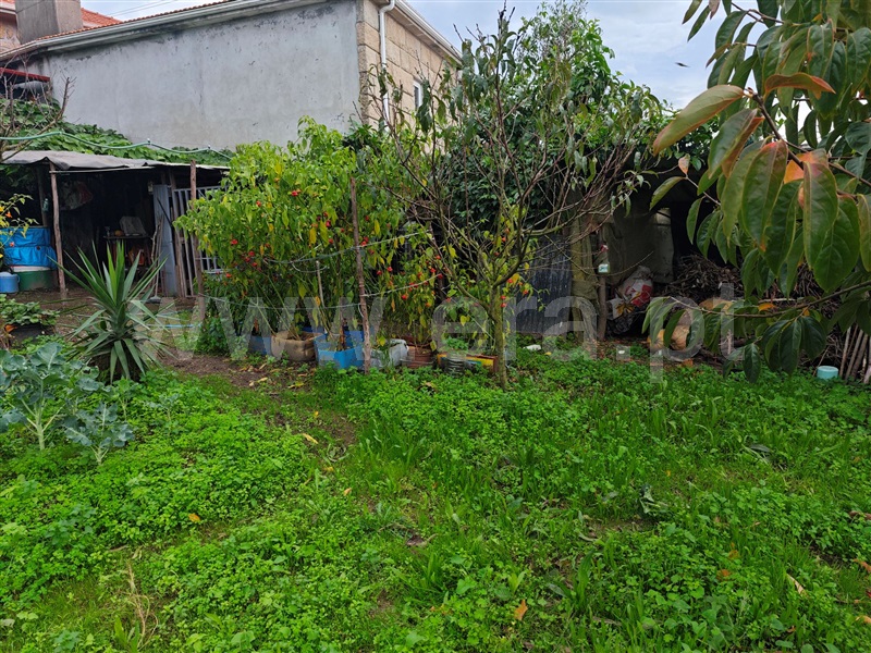 Terreno / Penafiel, Termas de São Vicente
