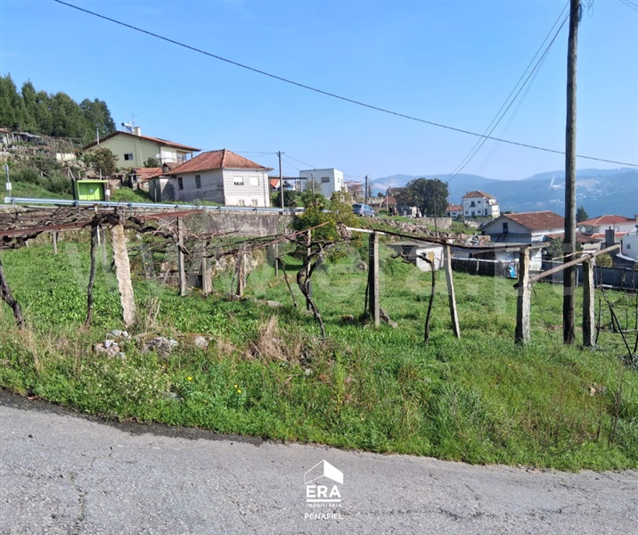 Terreno / Penafiel, Valpedre
