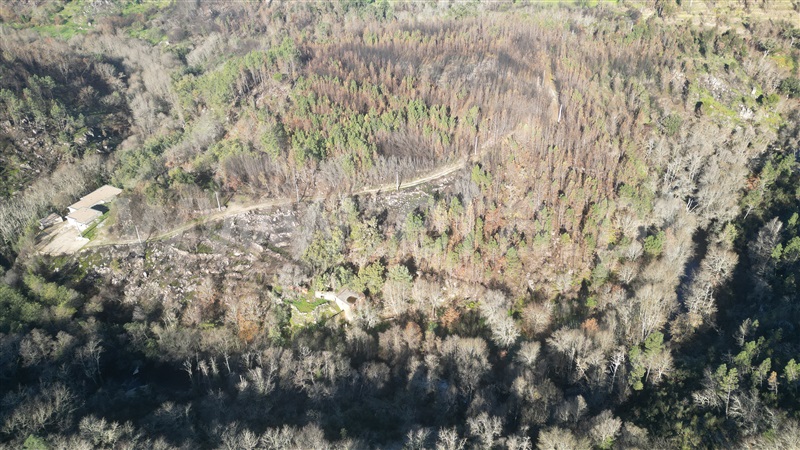 Terreno com ruina  Penalva do Castelo, Ínsua - 1455197 - 1