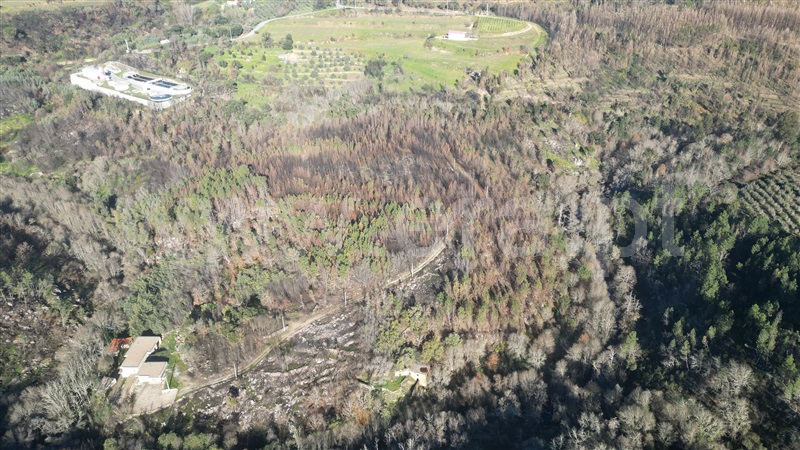 Terreno com ruina  Penalva do Castelo, Ínsua - 1455197 - 3